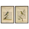 Birds Diagram III Framed Art Prints, Set of 2