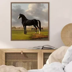 Black and White Horse Framed Canvas Art Print