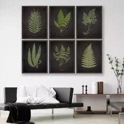 Black Fern I Framed Art Print