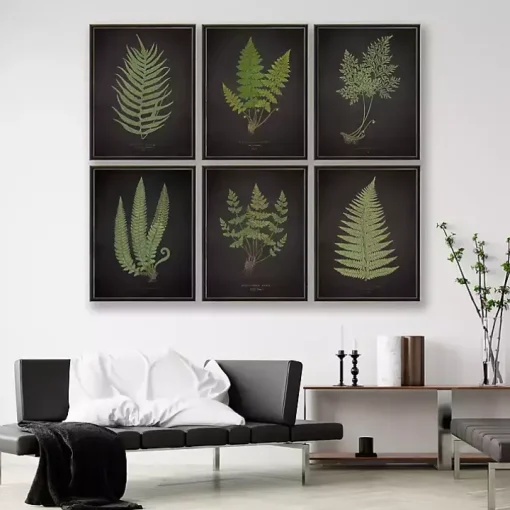 Black Fern I Framed Art Print