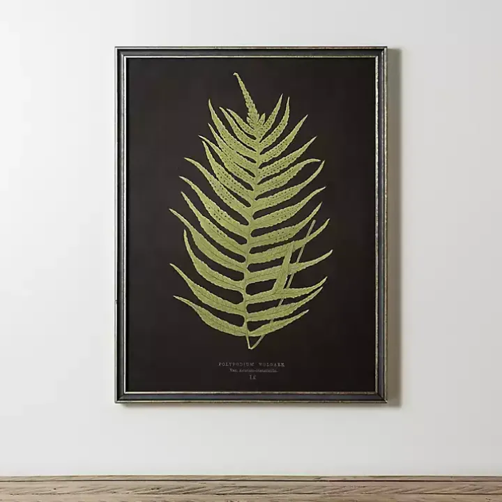 Black Fern II Framed Art Print