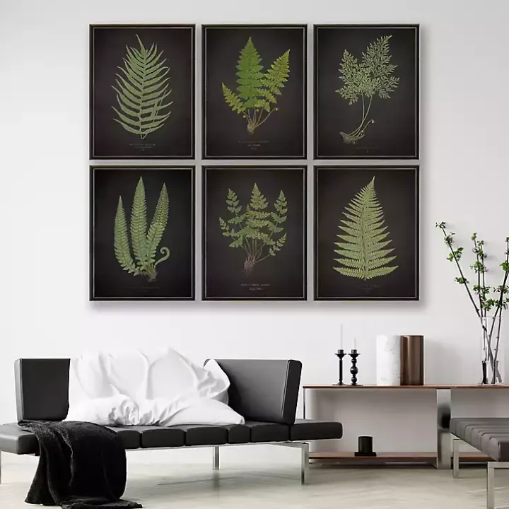 Black Fern IV Framed Art Print