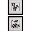 Black Plantling II Framed Art Prints, Set of 2
