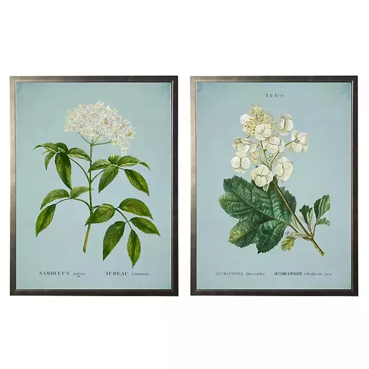 Blue Floral Diagram I Framed Art Prints, Set of 2