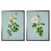 Blue Floral Diagram II Framed Art Prints, Set of 2