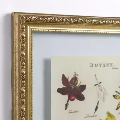 Botany Gold Framed Art Print