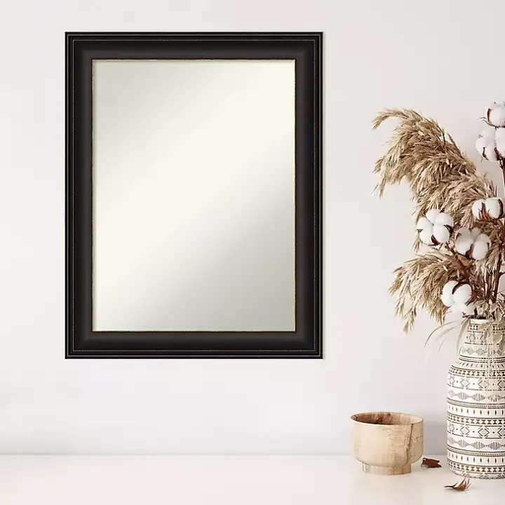 Bronze Trio Oil Rubbed Decorative Framed Mirror