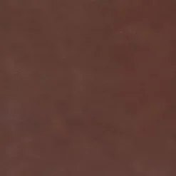 Brown Faux Leather Noreen Dining Chairs, Set of 2