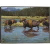 Buffalo Crossing Framed Canvas Art Print