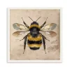 Bumblebee Anatomy Canvas Art Print