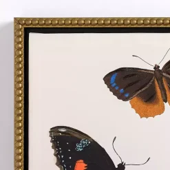 Butterfly Swarm Framed Canvas Art Prints, Set of 3