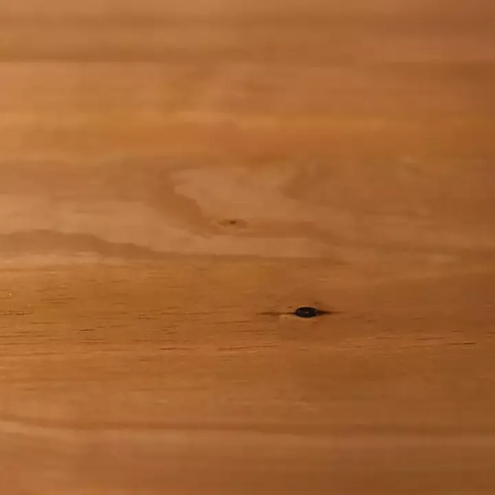 Caramel Pine 2-Drawer Nightstand