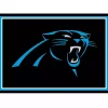 Carolina Panthers Area Rug, 3x4