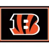 Cincinnati Bengals Area Rug, 3x4