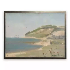 Coastal Cape Framed Art Print