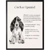 Cocker Spaniel Facts Framed Wall Plaque