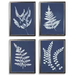 Cyanotype Ferns Framed Art Prints, Set of 4