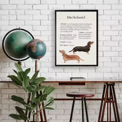 Dachshund Facts Framed Wall Plaque