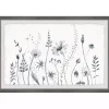 Deckled Gray Flower Fields Framed Art Print