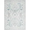 Dove Gray Ornate Bordered Area Rug, 5x7