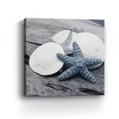 Driftwood Shell IV Canvas Art Print, 30x30 in.