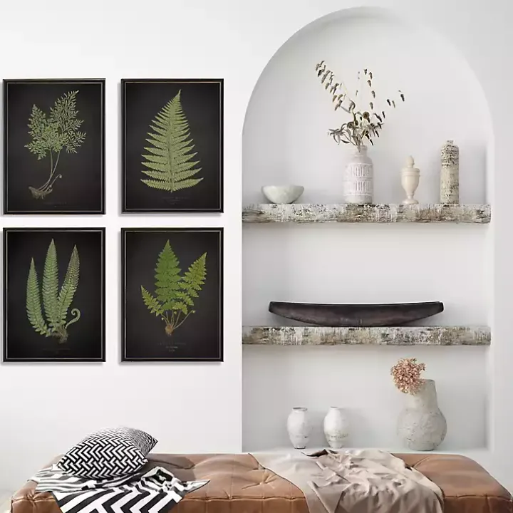 Fern Framed Art Prints, Set of 4