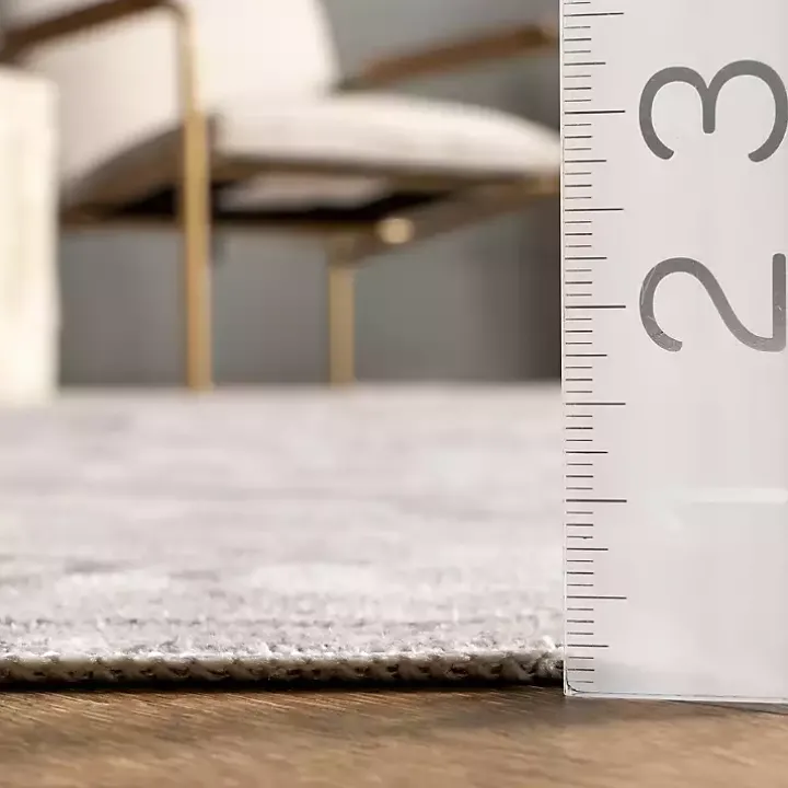 Flo Gray Vintage Medallion Washable Area Rug, 6x9