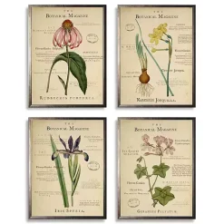 Flower Magazine Framed Art Prints, Set of 4
