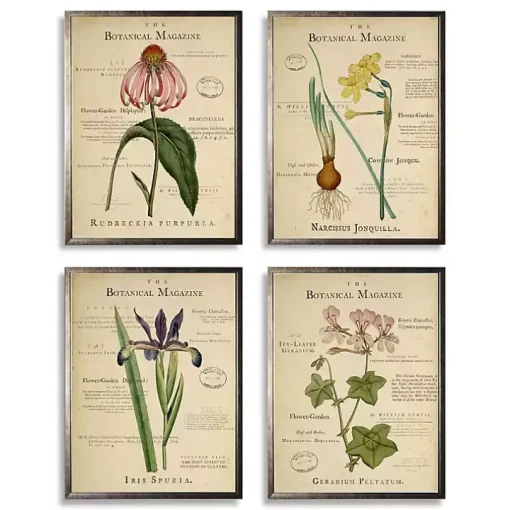 Flower Magazine Framed Art Prints, Set of 4