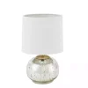Gold and Silver Mercury Glass Table Lamp