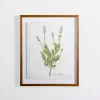 Golden Leaves Herbs Lavender Framed Art Print