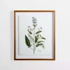 Golden Leaves Herbs Sage Framed Art Print