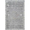 Gray Ivory Accent Rug, 2x3