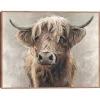 Highland Portrait Framed Canvas Art Print