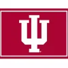 Indiana University Area Rug, 3x4