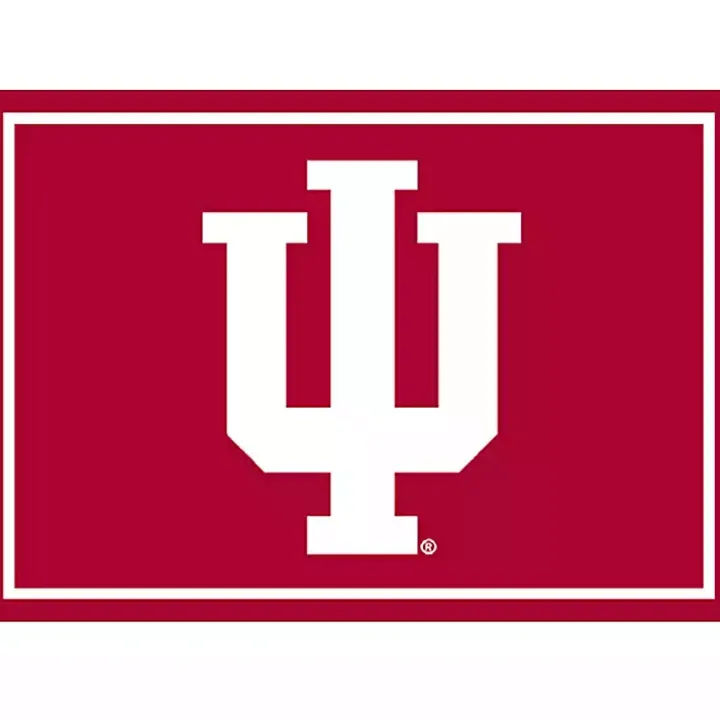 Indiana University Area Rug, 3x4