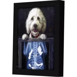 Inside Story Framed Art Print