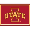 Iowa State University Area Rug, 3x4