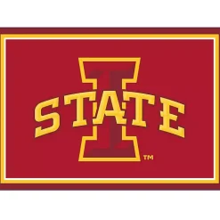 Iowa State University Area Rug, 3x4