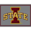 Iowa State University Area Rug, 4x6