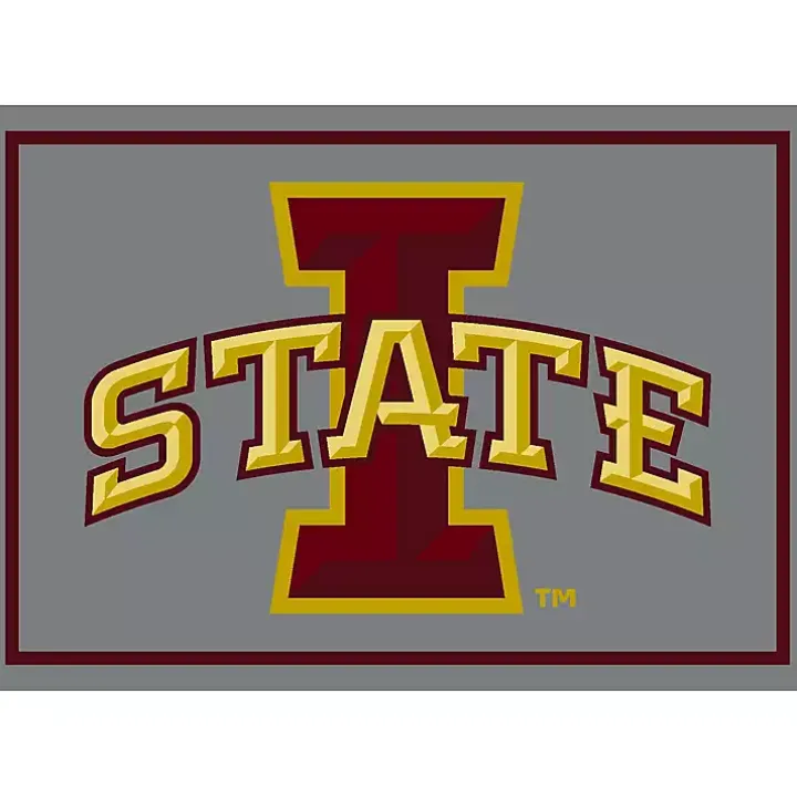 Iowa State University Area Rug, 4x6
