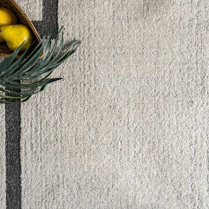 Ivory Classic Border Area Rug, 5x7