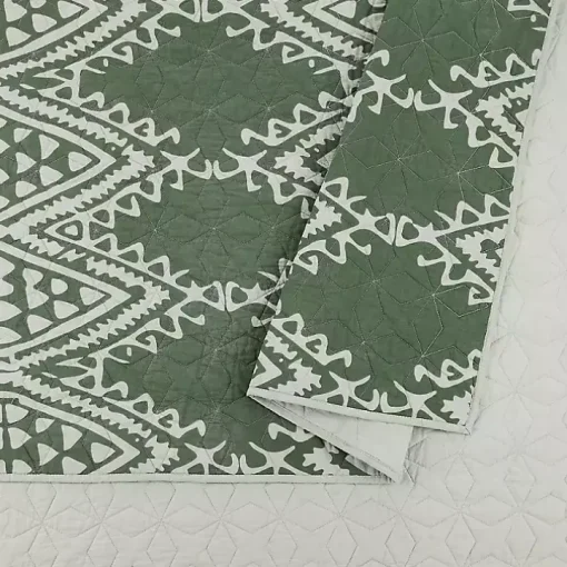 Justina Blakeney Green Aisha Queen Quilt Set