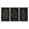 Martha Stewart Botanical Framed Prints, Set of 3