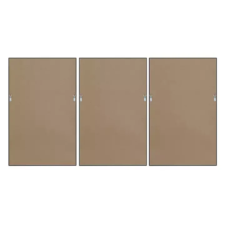 Martha Stewart Botanical Framed Prints, Set of 3