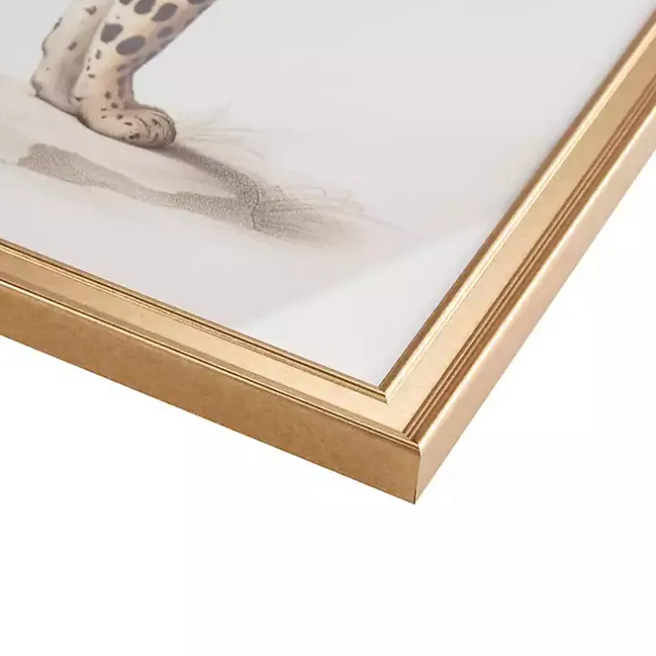 Martha Stewart Cheetahs Framed Wall Art, Set of 2