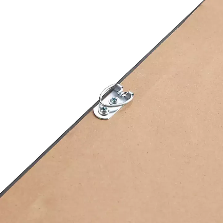 Martha Stewart Cheetahs Framed Wall Art, Set of 2