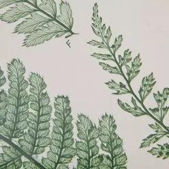 Martha Stewart Lady Fern Framed Art Print Set