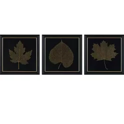 Martha Stewart Leaf Framed Prints, Set of 3