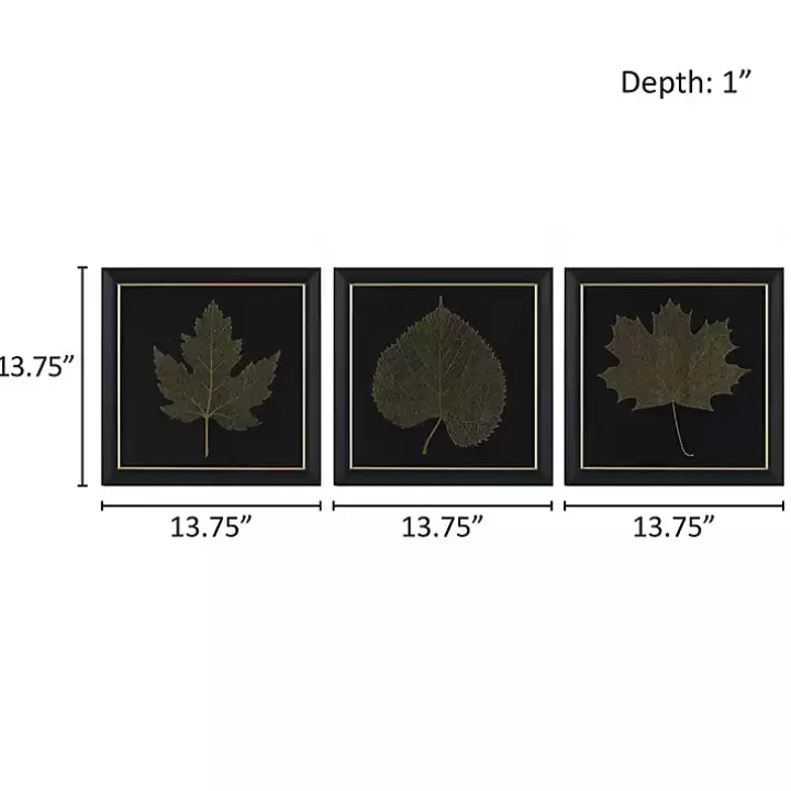 Martha Stewart Leaf Framed Prints, Set of 3